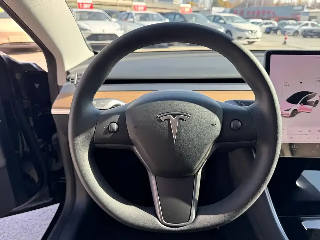 Tesla Model 3 2021 из CN, фото 10