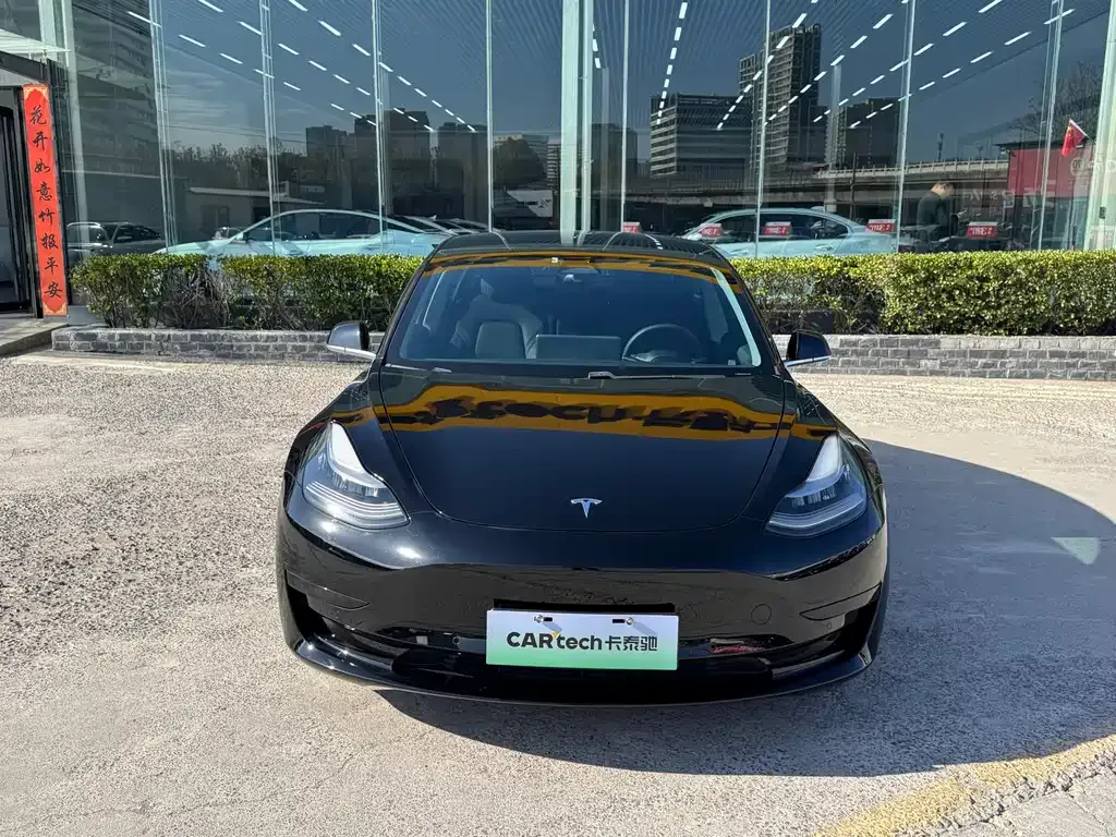 Tesla Model 3 2021 из CN, фото 2