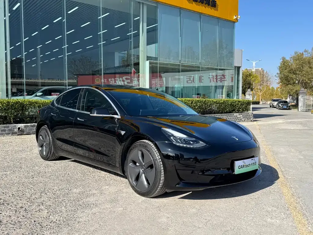 Tesla Model 3 2021 из CN, фото 3