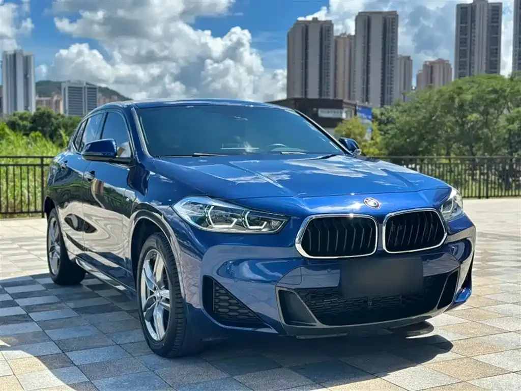 BMW X2 2021 из CN, фото 4