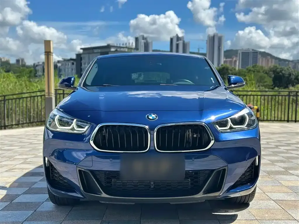 BMW X2 2021 из CN, фото 8