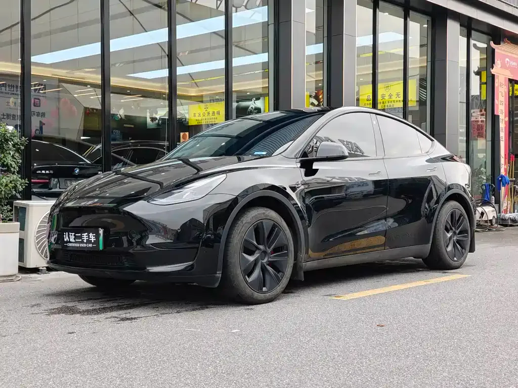 Tesla Model Y — фото 1