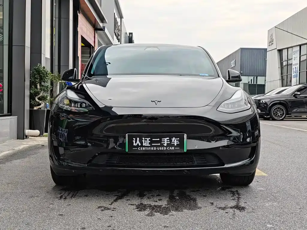 Tesla Model Y — фото 6