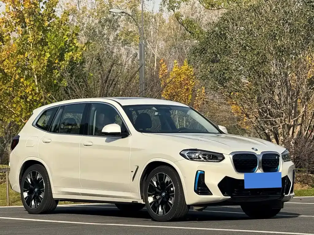 BMW iX3 2021 из CN, фото 3