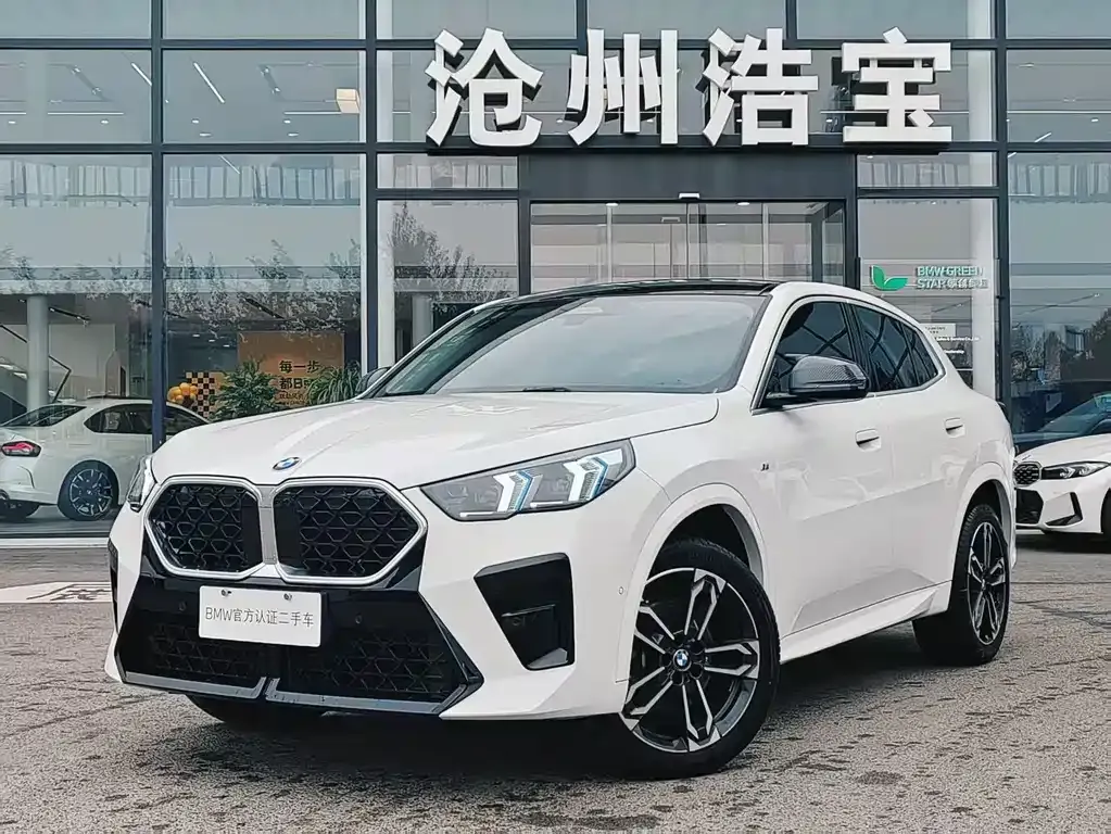 BMW X2 (Import) 2025 из CN, фото 1