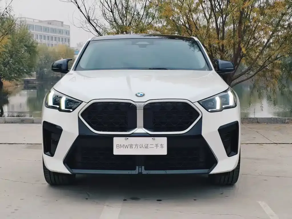 BMW X2 (Import) 2025 из CN, фото 2
