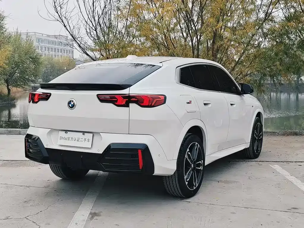 BMW X2 (Import) 2025 из CN, фото 4