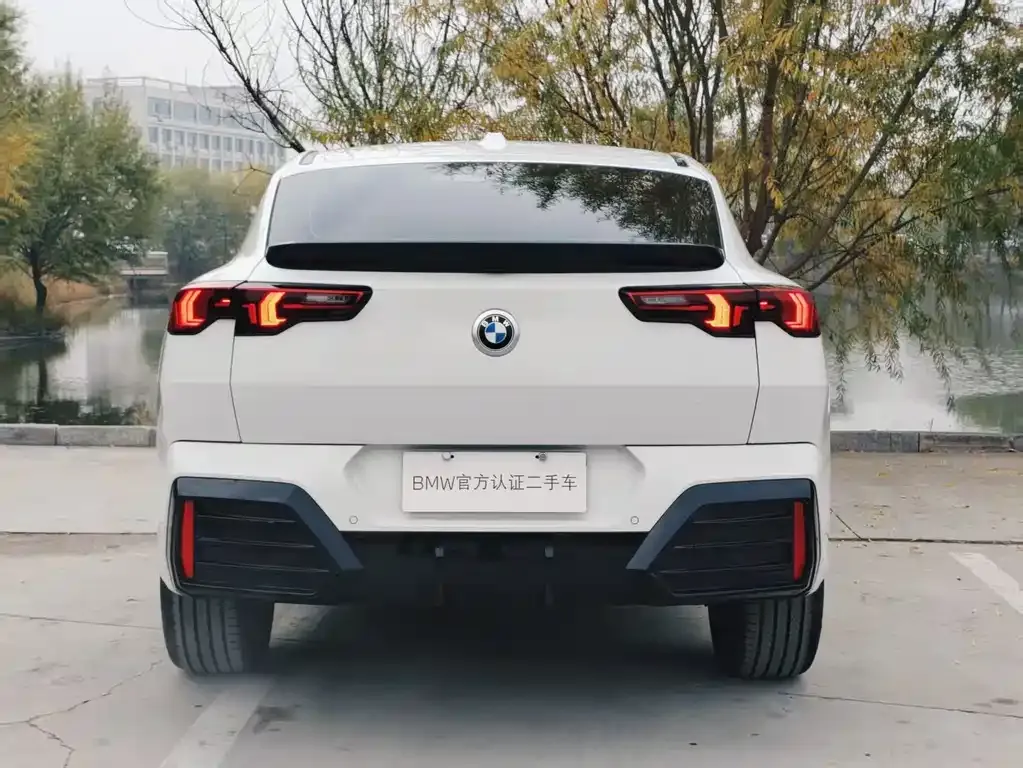 BMW X2 (Import) 2025 из CN, фото 5