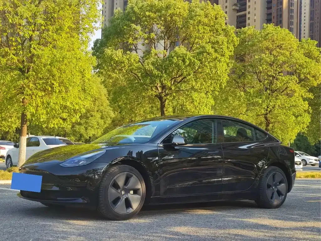 Tesla Model 3 2021 из CN, фото 1