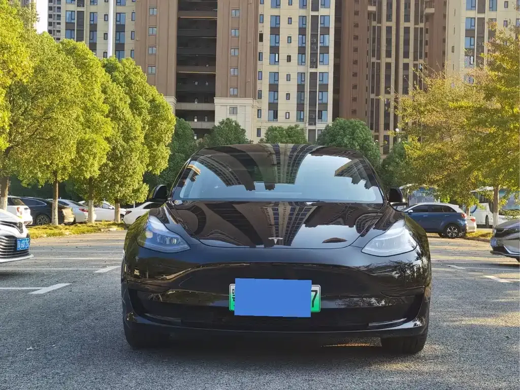 Tesla Model 3 2021 из CN, фото 2