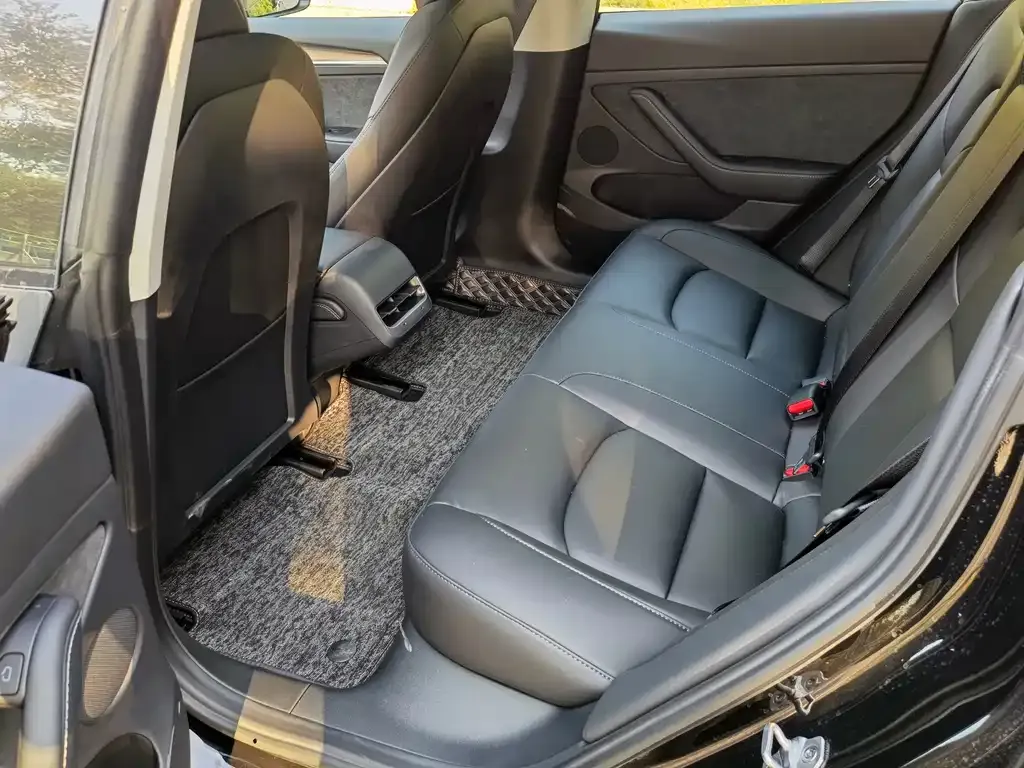 Tesla Model 3 2021 из CN, фото 3