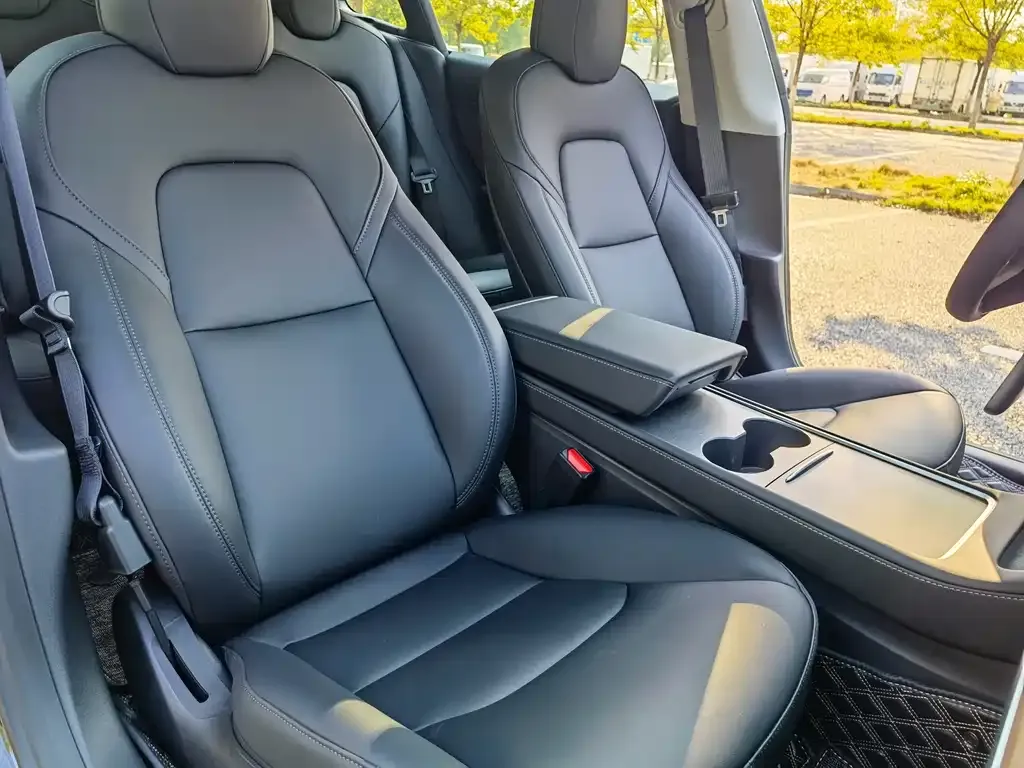 Tesla Model 3 2021 из CN, фото 5