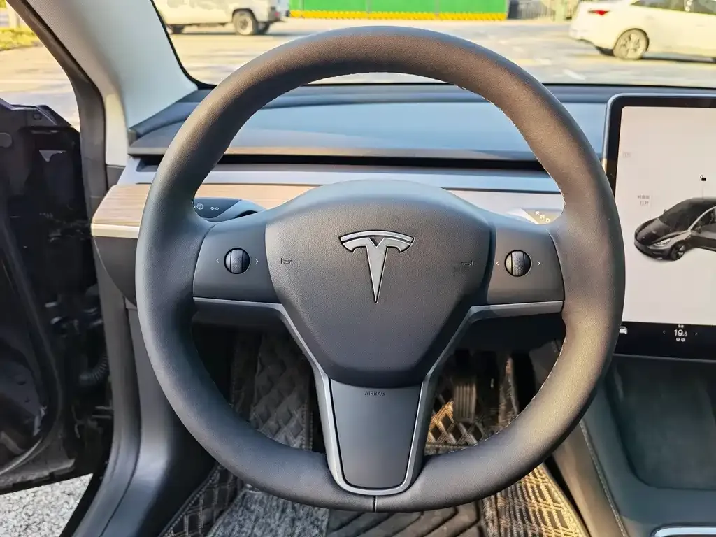 Tesla Model 3 2021 из CN, фото 6