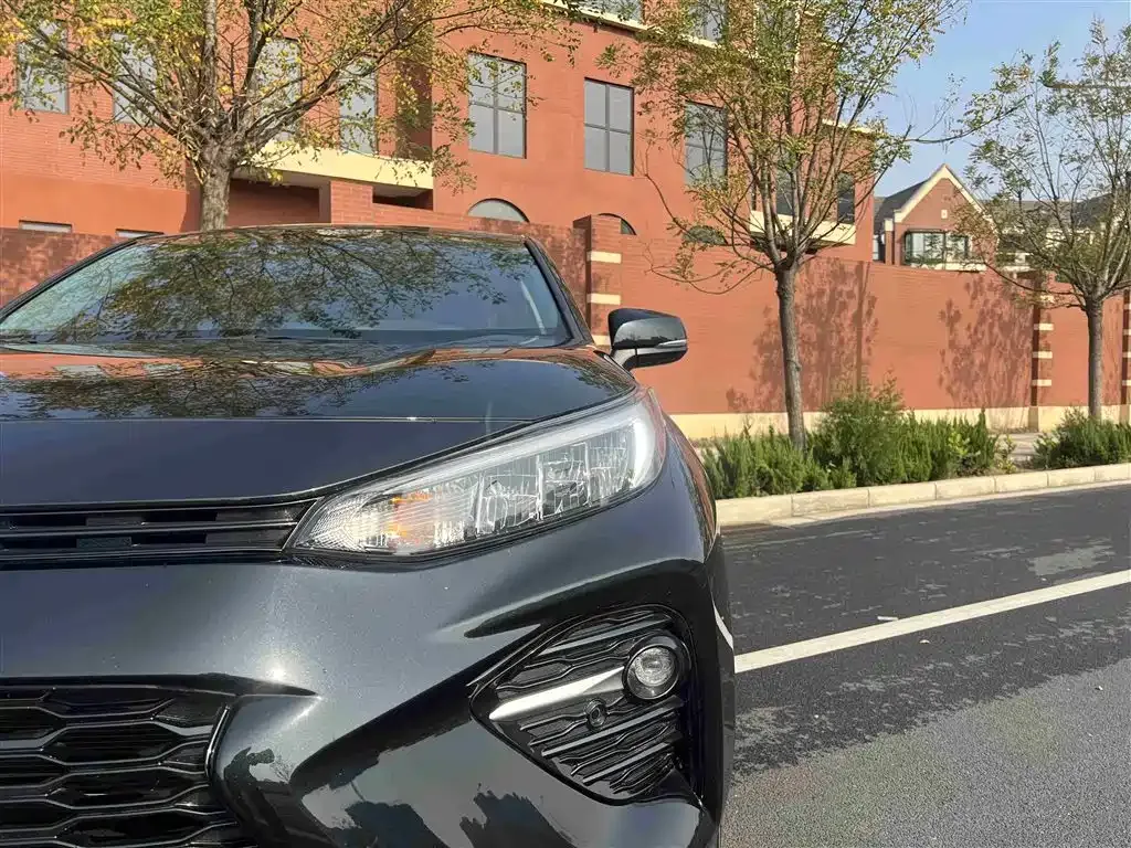 [object Object] Wildlander 2023 из CN, фото 4