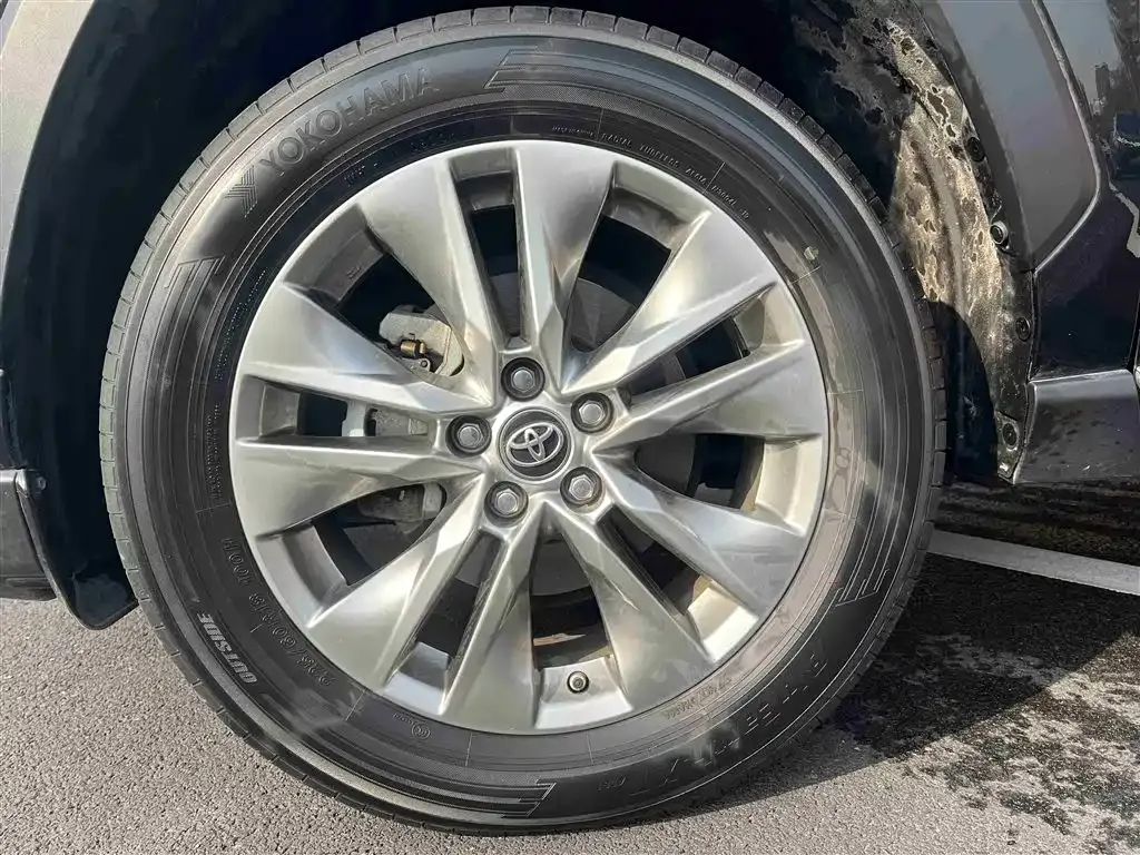 [object Object] Wildlander 2023 из CN, фото 5