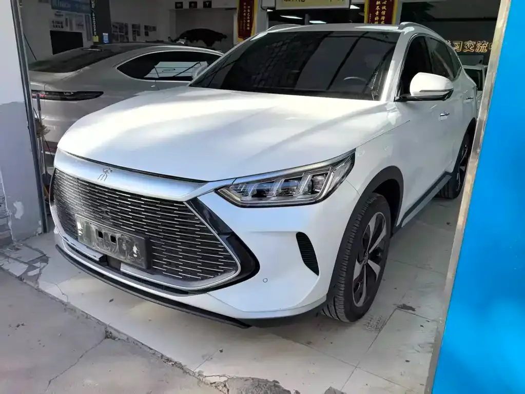 BYD PLUS New Energy — фото 1