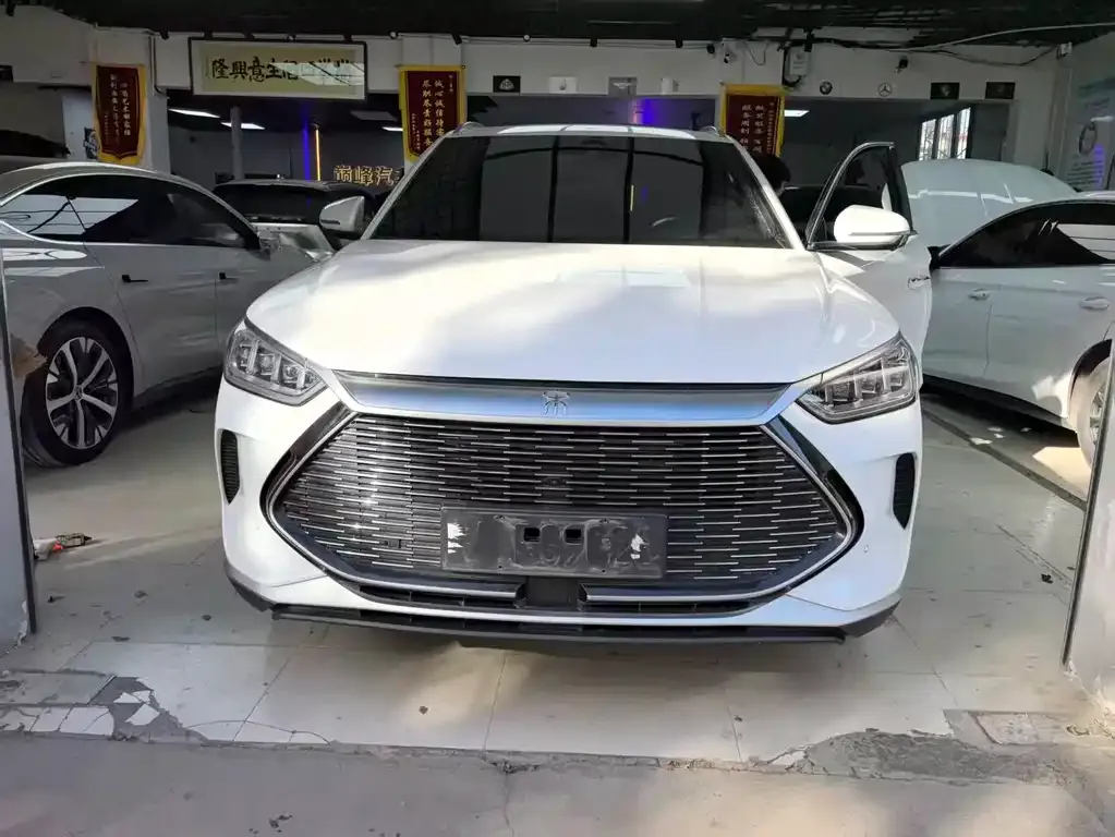 BYD PLUS New Energy — фото 6