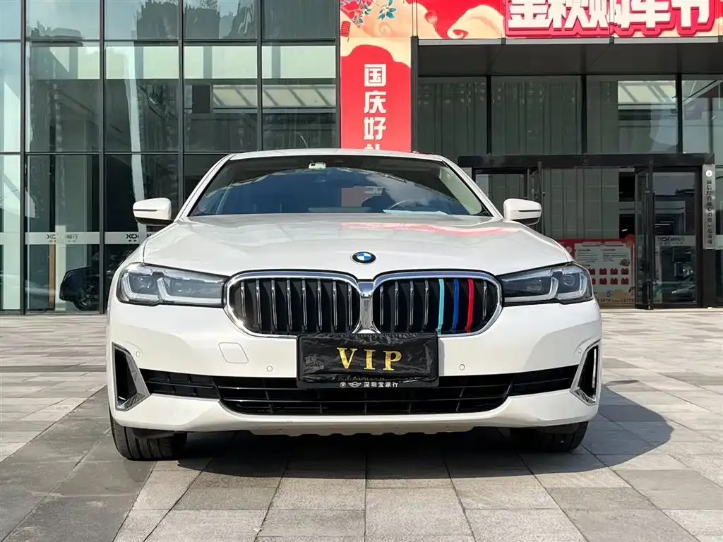 BMW 5 Series 2021 из CN, фото 2