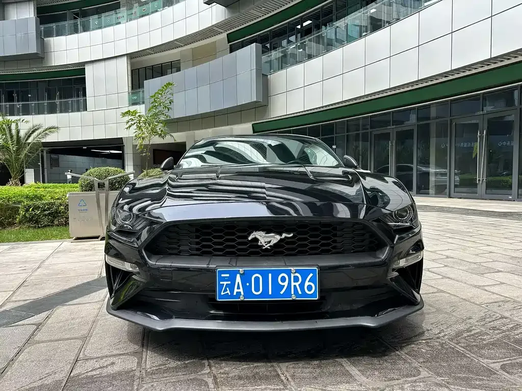 Ford Mustang 2021 из CN, фото 2