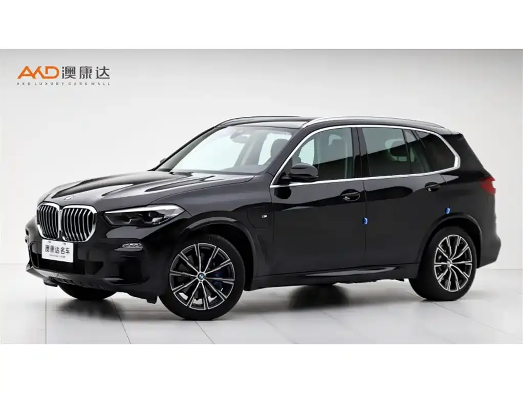 BMW X5 New Energy (Import) 2021 из CN, фото 1