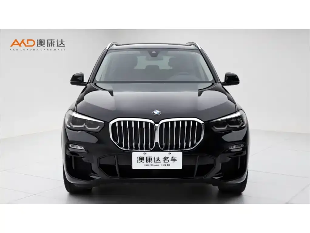 BMW X5 New Energy (Import) 2021 из CN, фото 2