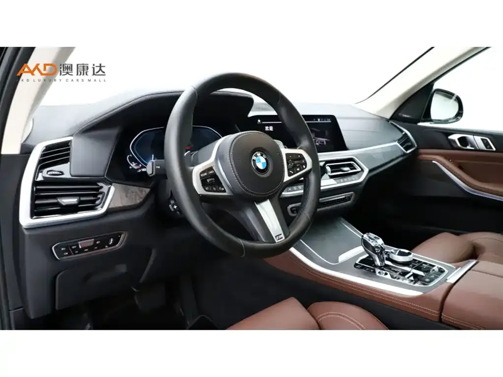 BMW X5 New Energy (Import) 2021 из CN, фото 6