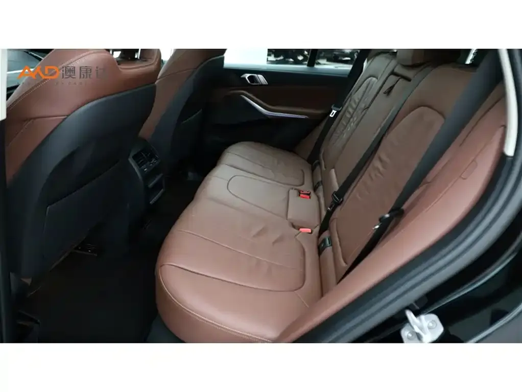 BMW X5 New Energy (Import) 2021 из CN, фото 7