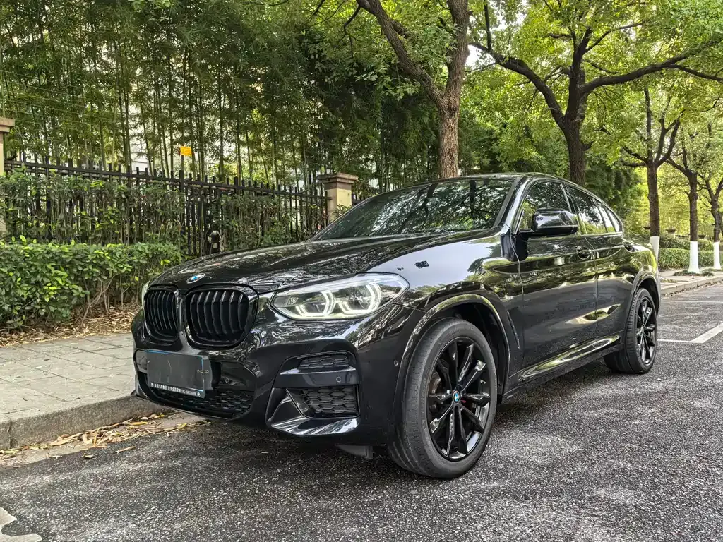 BMW X4 2021 из CN, фото 1