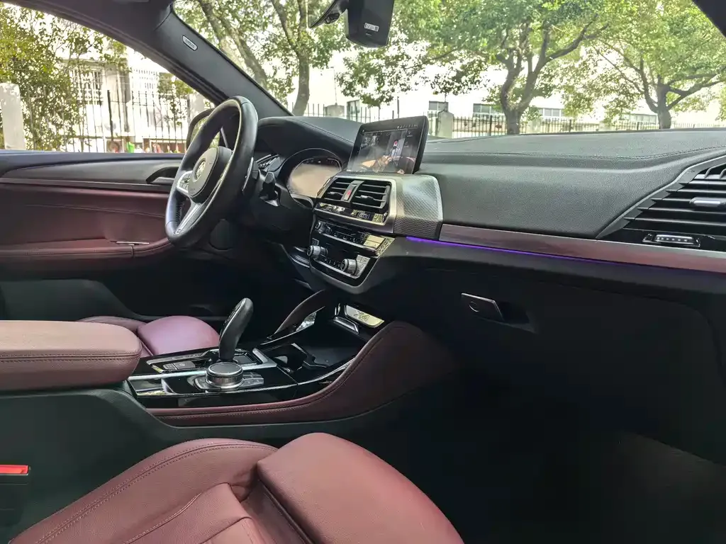 BMW X4 2021 из CN, фото 10