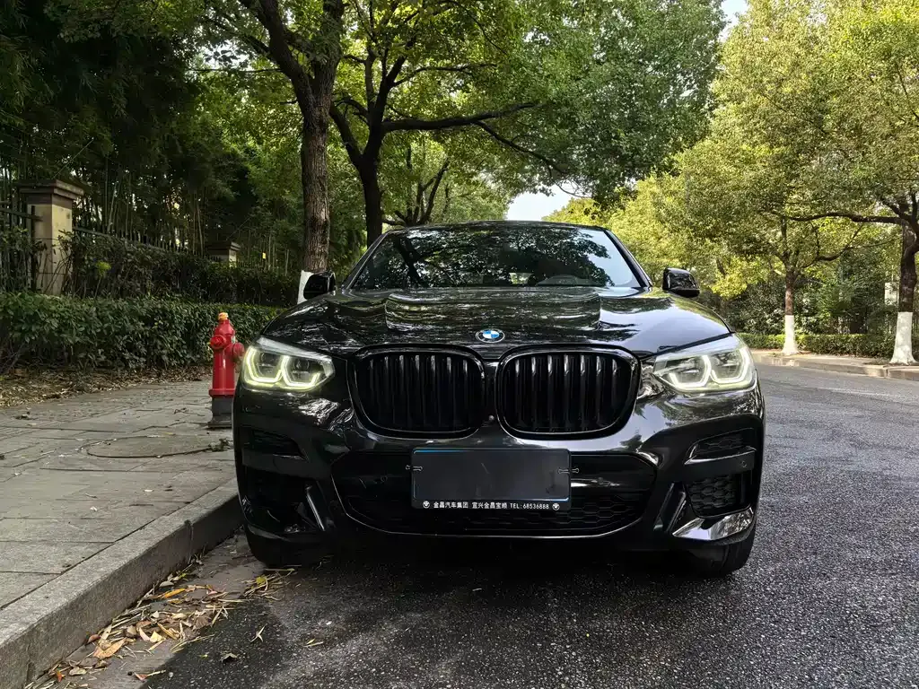BMW X4 2021 из CN, фото 2