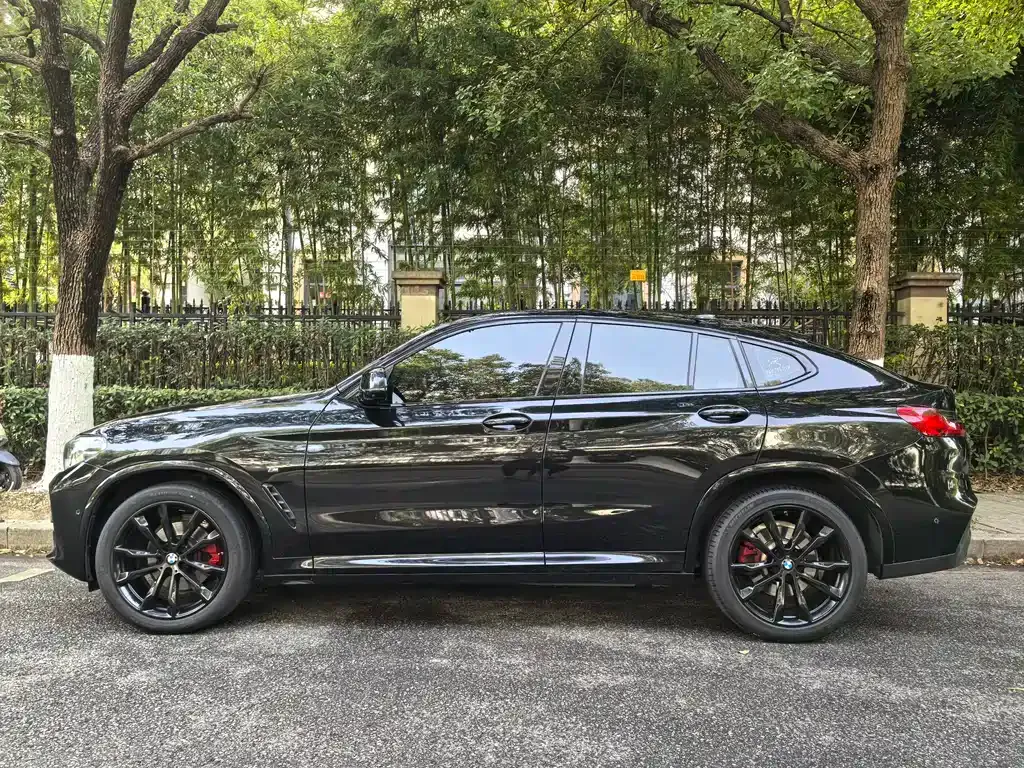 BMW X4 2021 из CN, фото 3