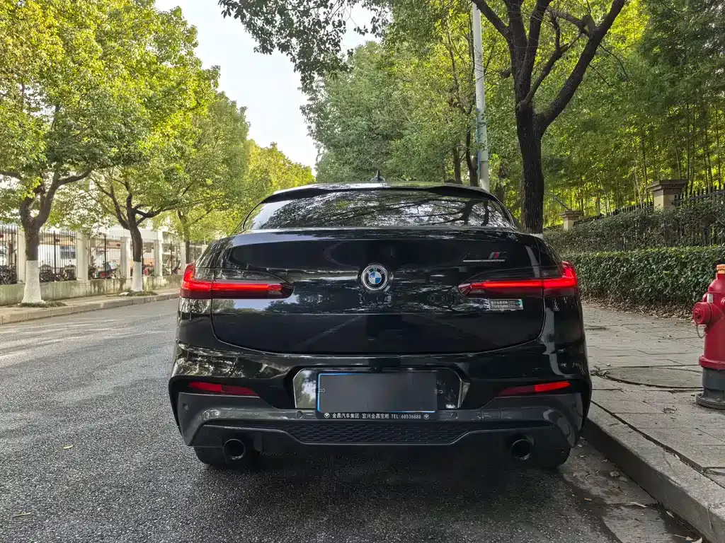 BMW X4 2021 из CN, фото 5