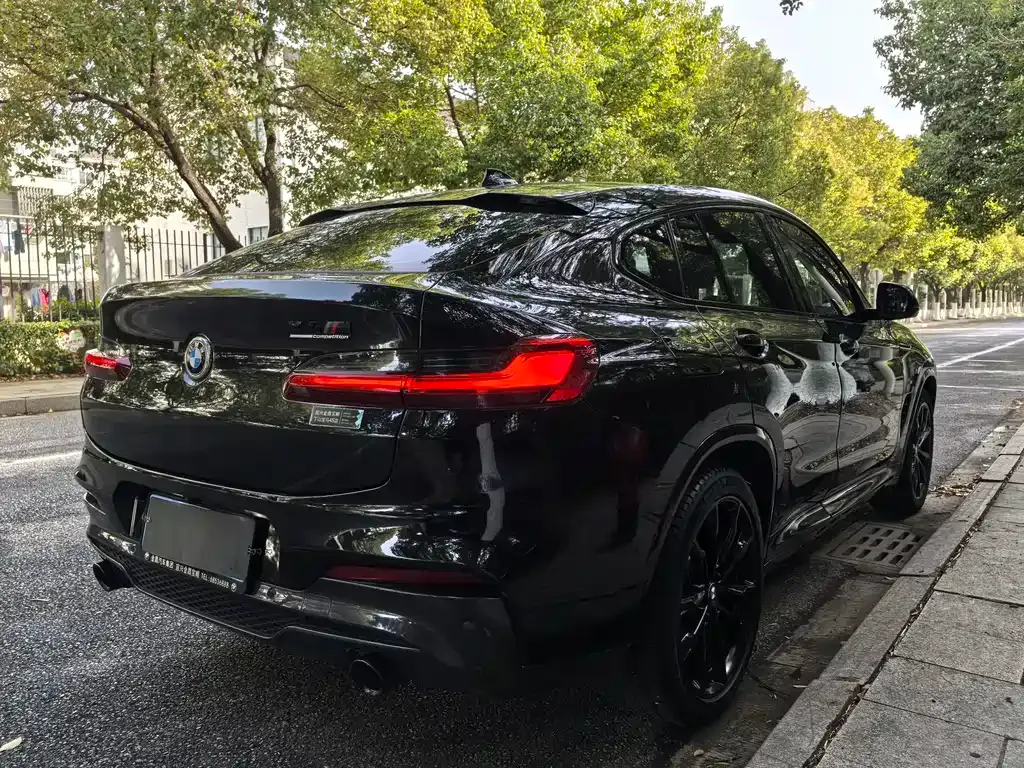 BMW X4 2021 из CN, фото 6