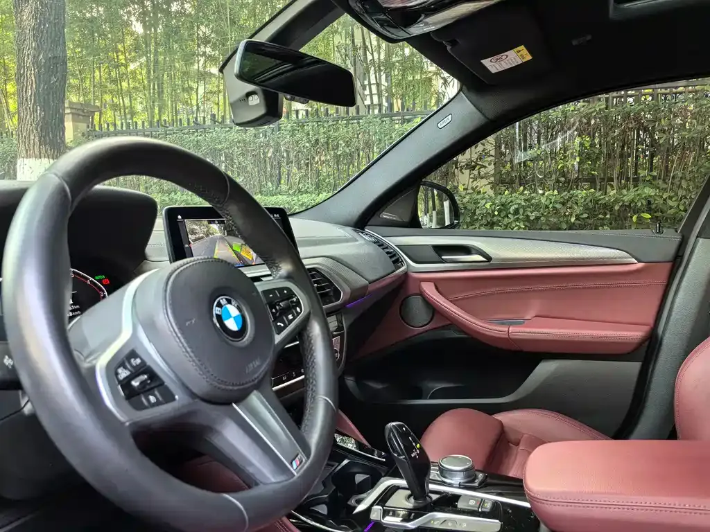 BMW X4 2021 из CN, фото 7