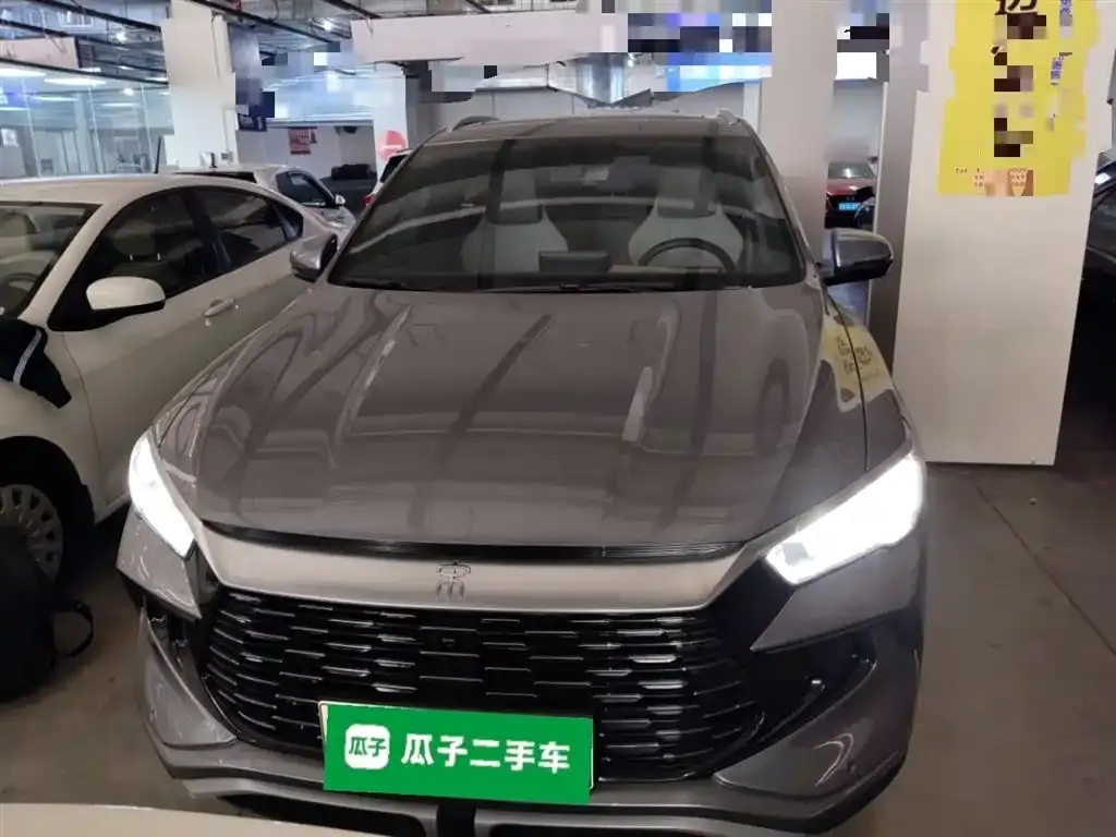 BYD Pro New Energy 2023 из CN, фото 3