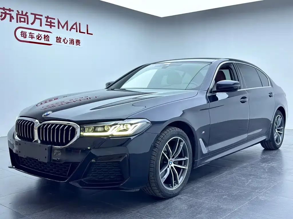 BMW 5 Series 2021 из CN, фото 1