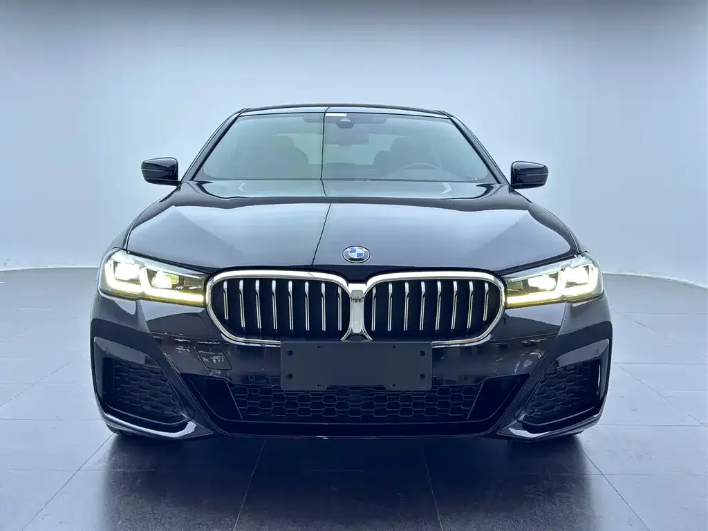 BMW 5 Series 2021 из CN, фото 2