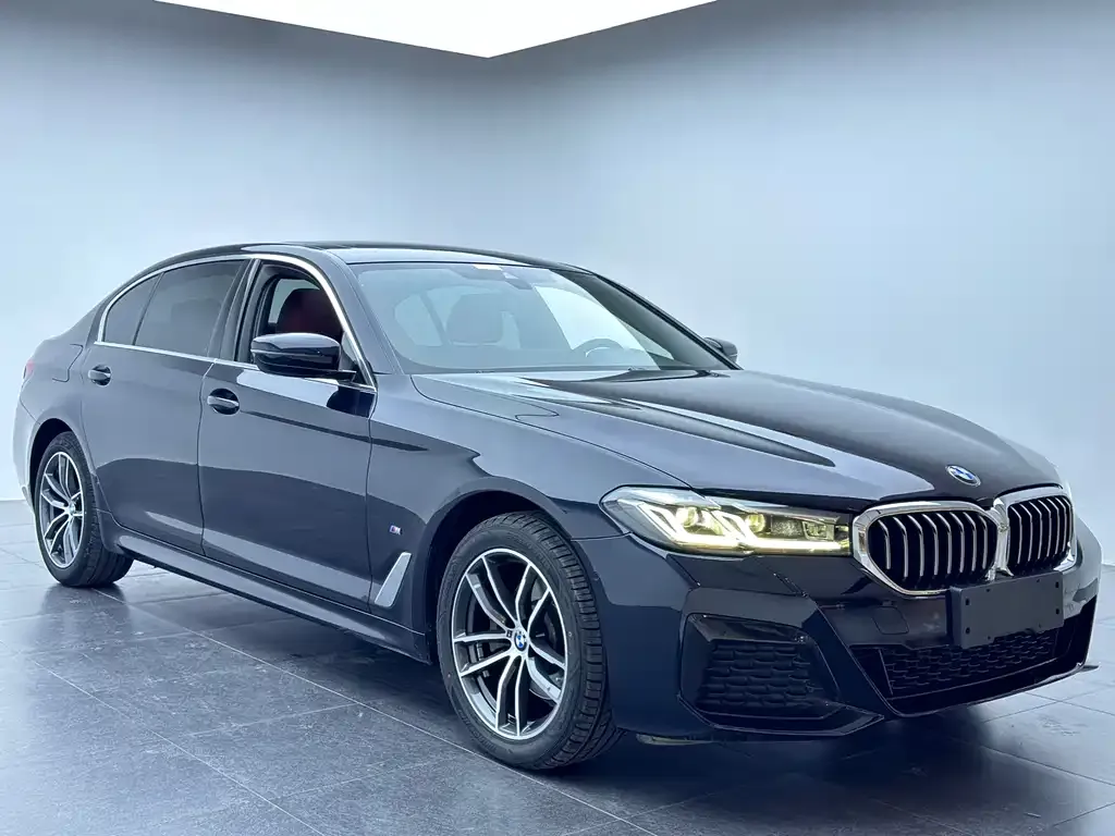 BMW 5 Series 2021 из CN, фото 3