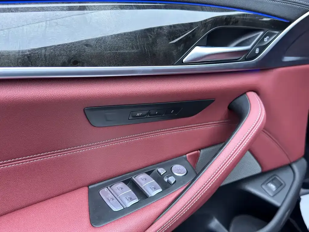 BMW 5 Series 2021 из CN, фото 4