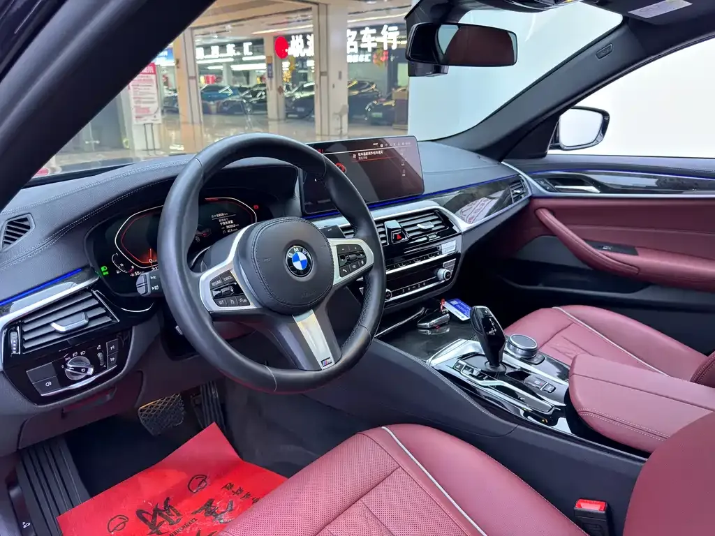 BMW 5 Series 2021 из CN, фото 5