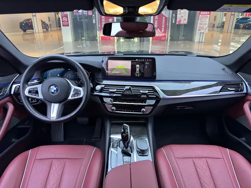 BMW 5 Series 2021 из CN, фото 9