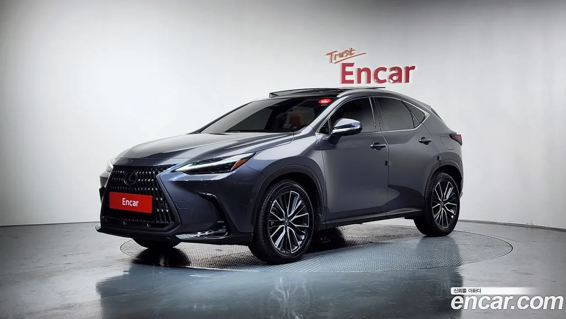 Lexus NX 2025 из KR, фото 1