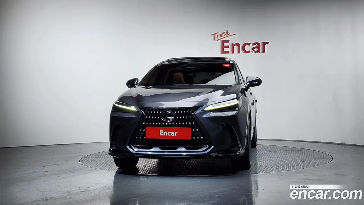 Lexus NX 2025 из KR, фото 3