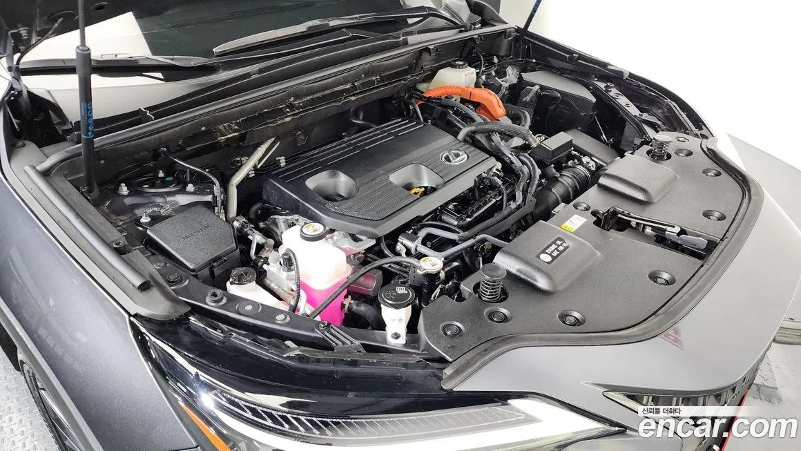 Lexus NX 2025 из KR, фото 6