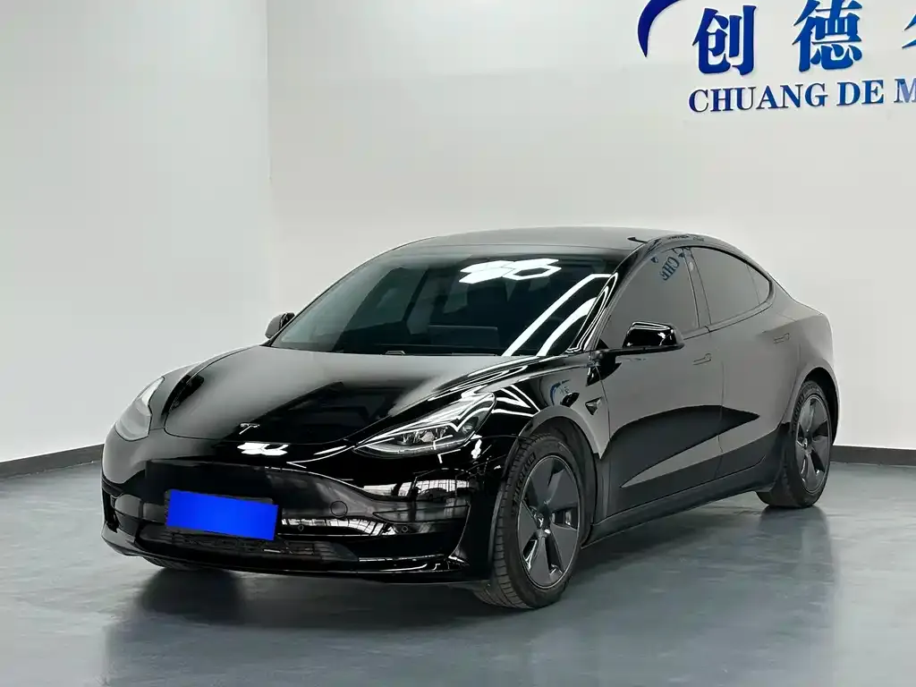 Tesla Model 3 2021 из CN, фото 2