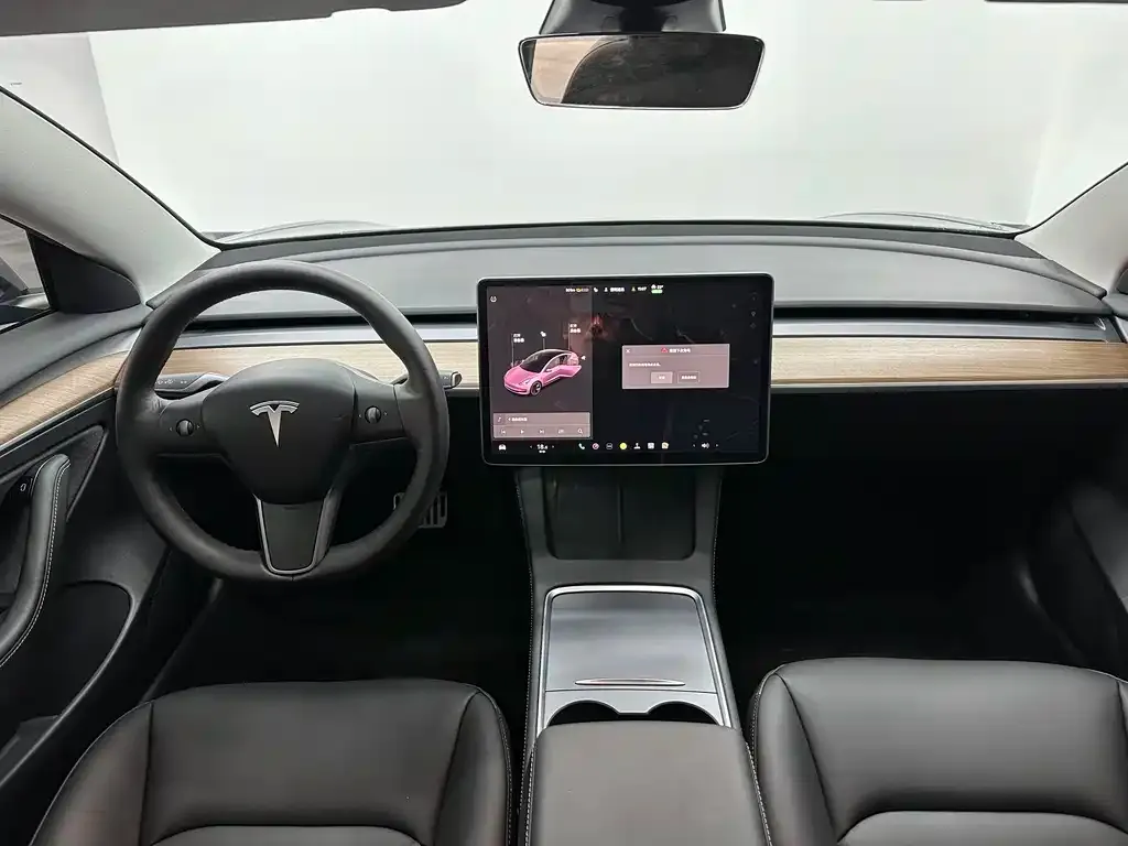 Tesla Model 3 2021 из CN, фото 4