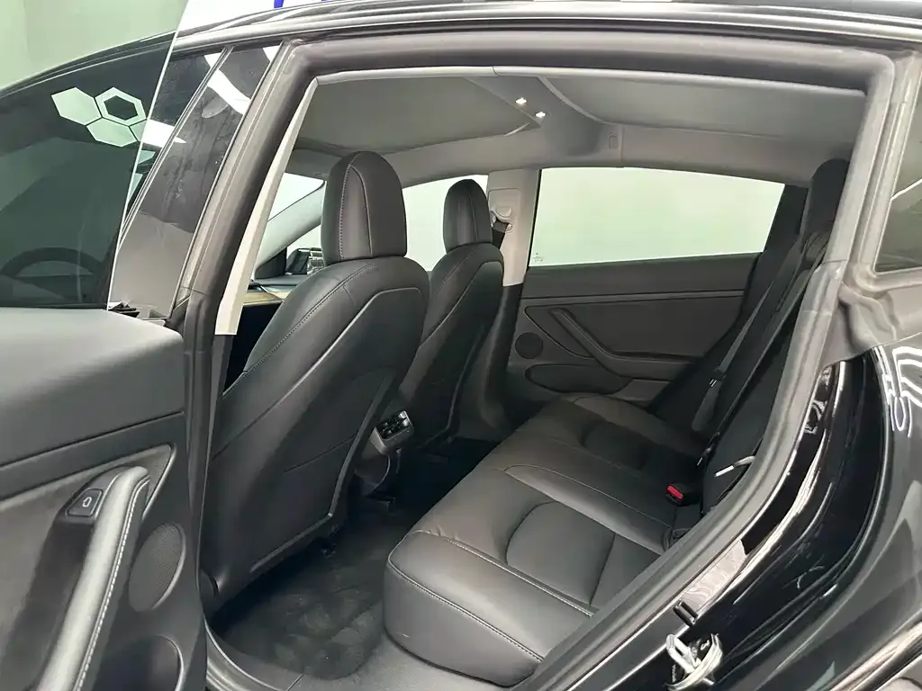 Tesla Model 3 2021 из CN, фото 6