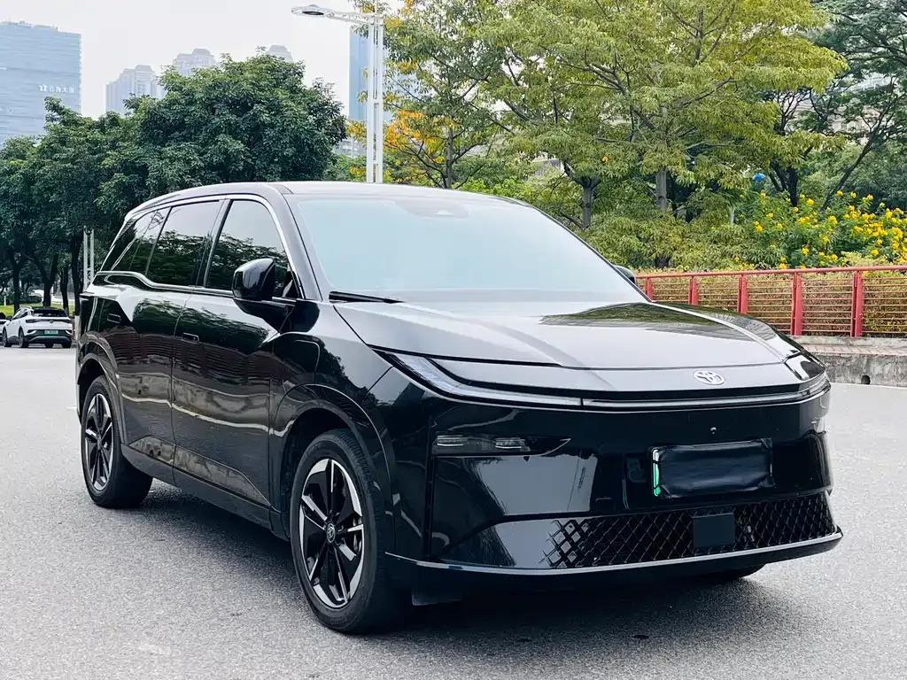 Toyota Platinum 3X 2025 из CN, фото 10