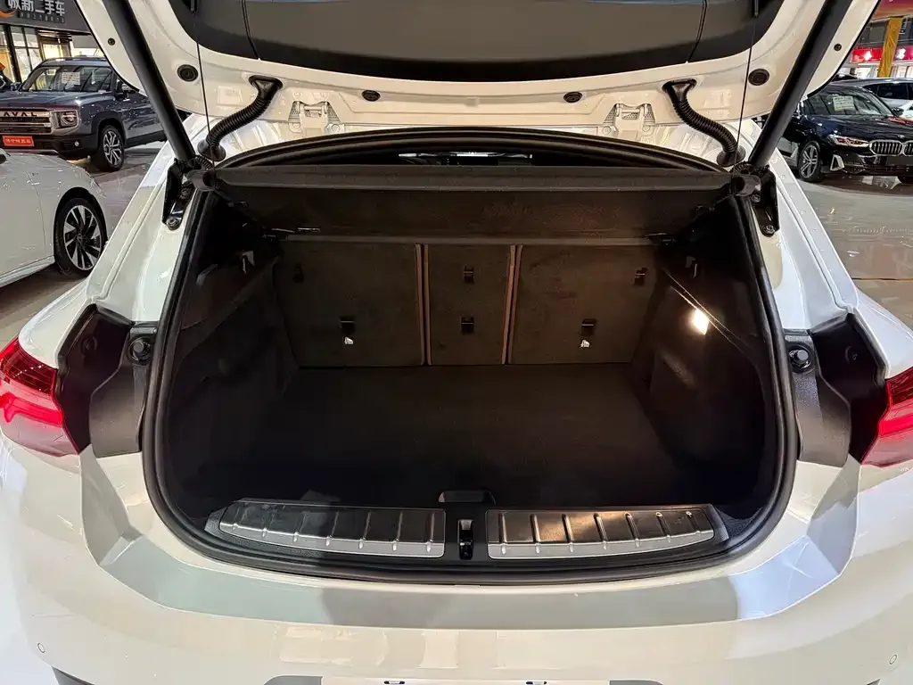 BMW X2 2021 из CN, фото 7
