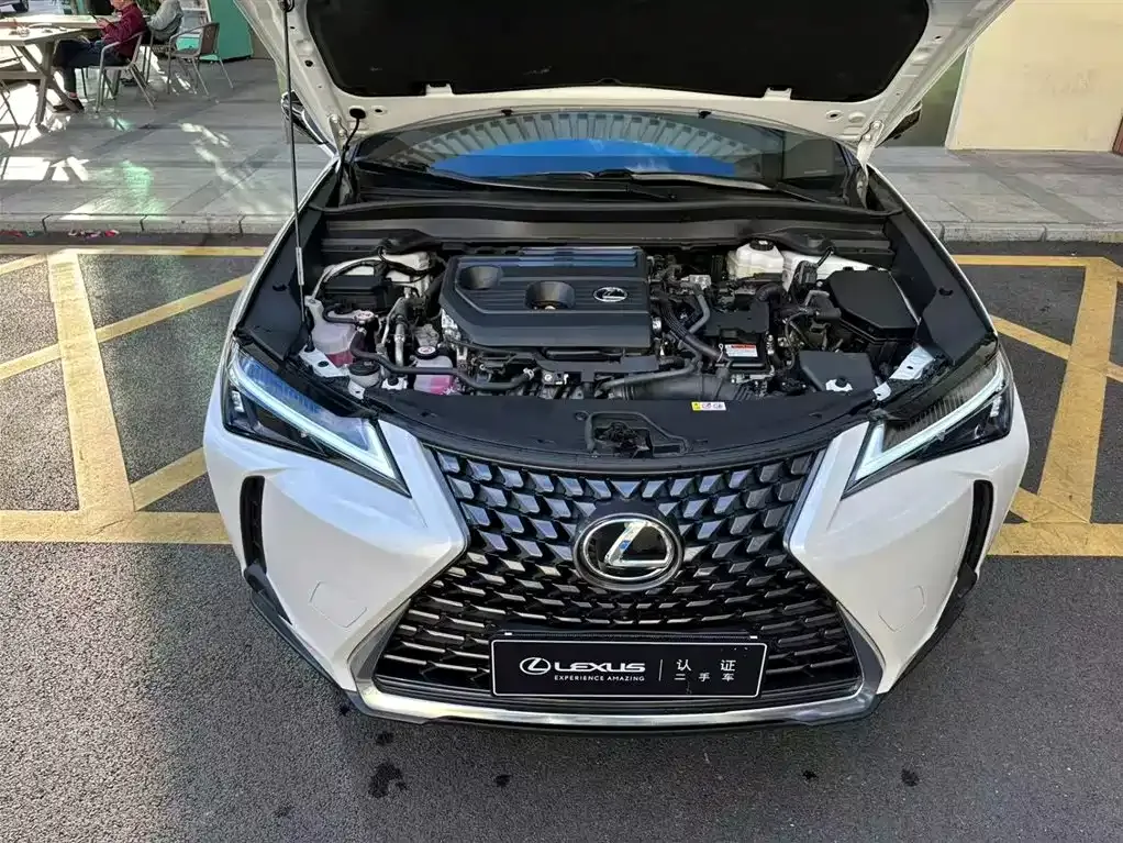 Lexus UX 2025 из CN, фото 4